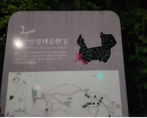 집앞에 있는 강아지 산책로.jpg
