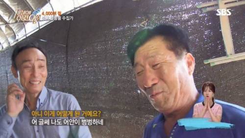 [스압] 씁쓸한 골동품 수집 아재..jpg