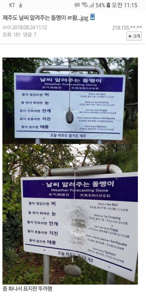 제주도 날씨 알려주는 짱돌 근황.jpg