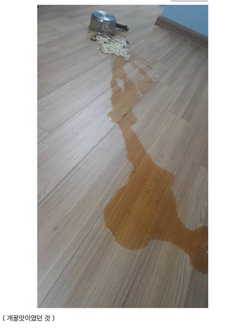 생생 우동 개꿀맛.jpg