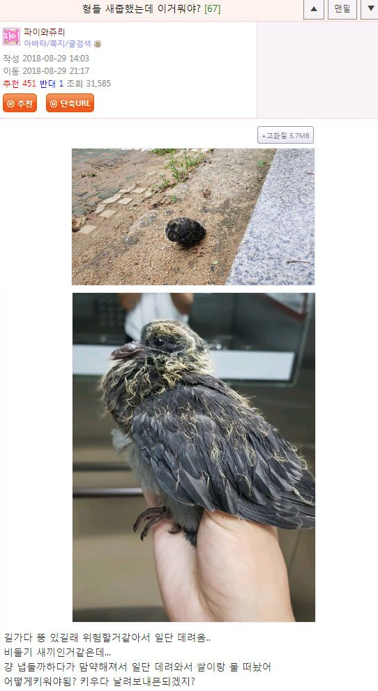 새줍했는데 이거뭐야?.jpg