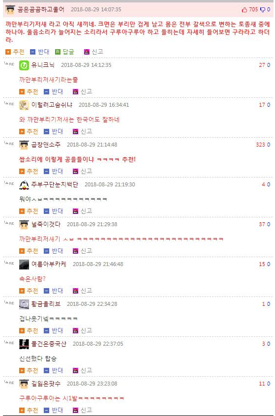 새줍했는데 이거뭐야?.jpg