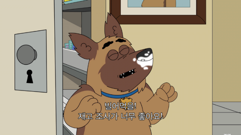 경찰견들이 마약을 잘 찾을수 있는 이유.jpg