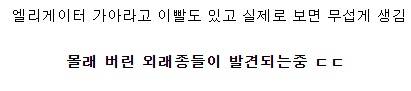 태풍 지나간 일본 근황.jpg