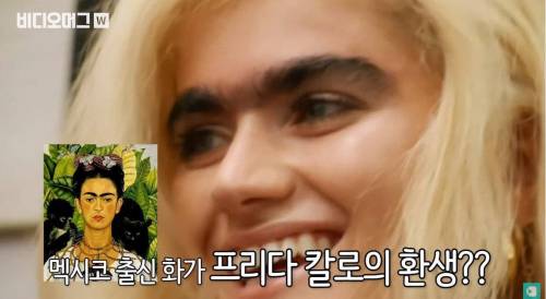 22살 미국 모델이 일자 눈썹을 고집하는 이유.jpg