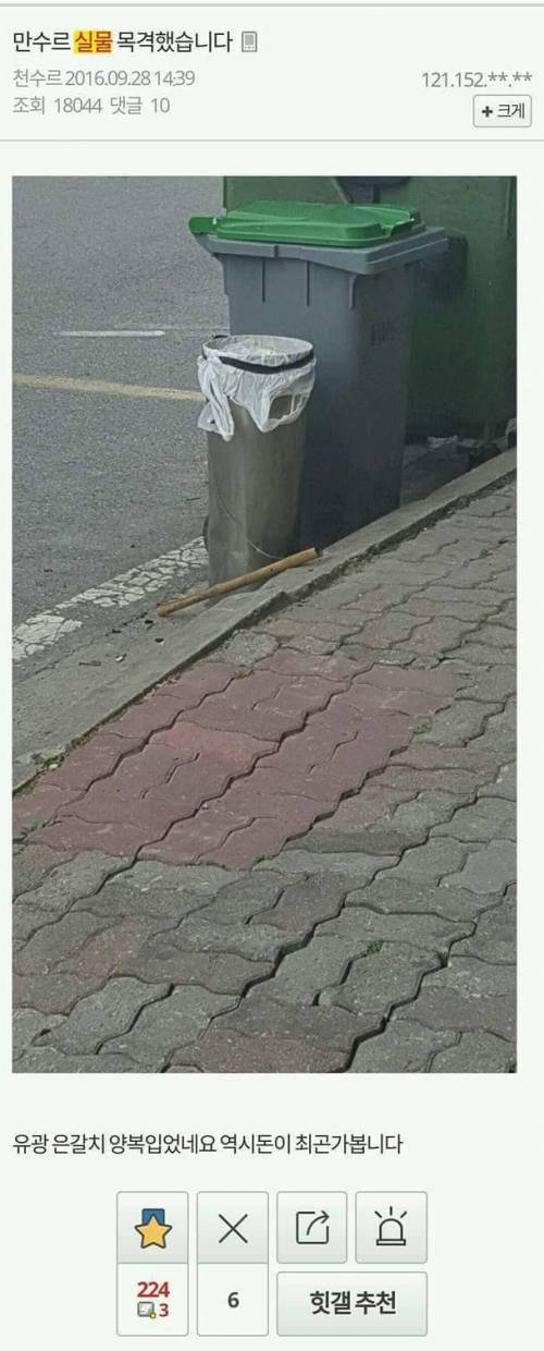 허언증 갤러리 정회원들.jpg