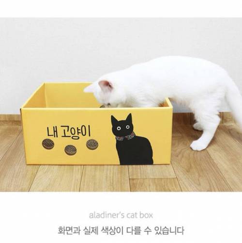 알라딘 사은품 근황.jpg