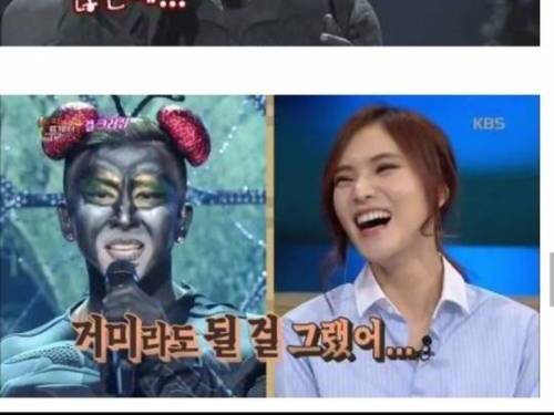 거미 분장이 싫었던 거미.jpg
