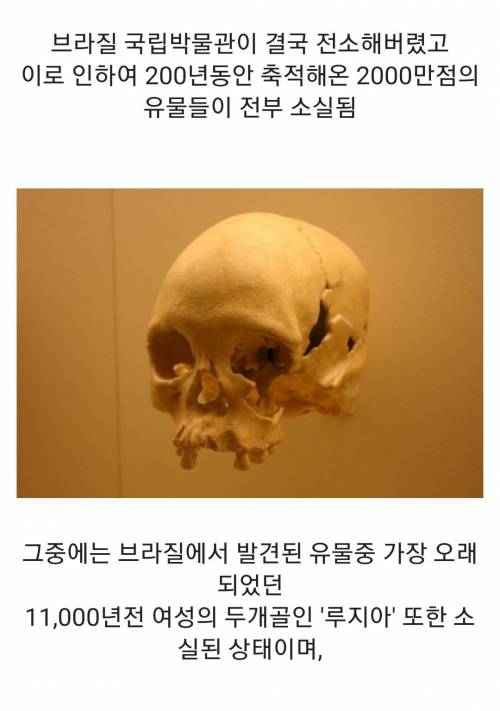 브라질에서 일어난 화재.jpg