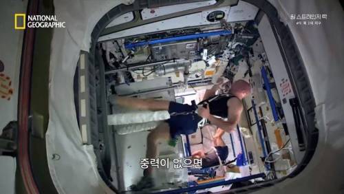 [스압]무중력 상태에 노출되면 찾아오는 신체의 변화 .jpg