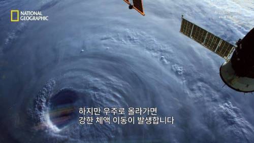[스압]무중력 상태에 노출되면 찾아오는 신체의 변화 .jpg