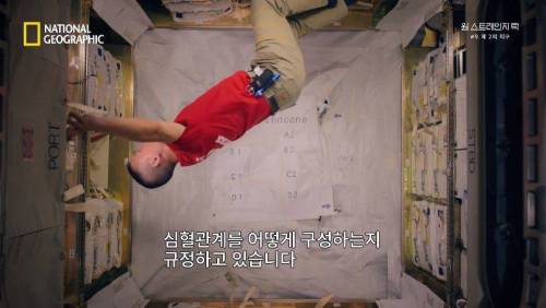 [스압]무중력 상태에 노출되면 찾아오는 신체의 변화 .jpg