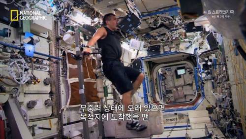 [스압]무중력 상태에 노출되면 찾아오는 신체의 변화 .jpg