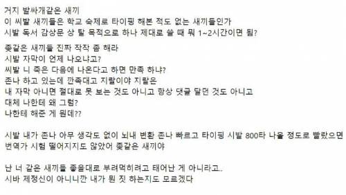 [욕주의]자막 제작자를 빡치게 만든 결과물.jpg