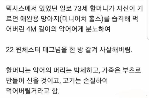 천조국 할머니의 복수 간지.jpg