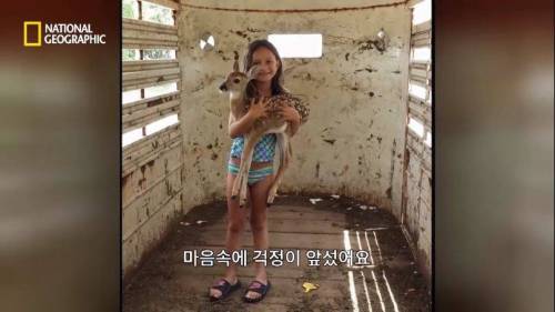 어미에게 버림받은 사슴.jpg