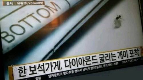 앤트맨 근황.jpg