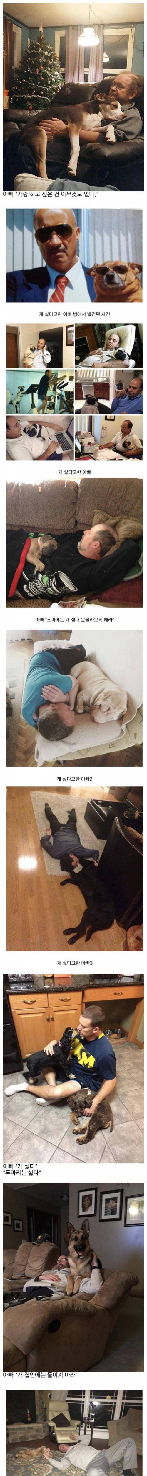 강아지 싫어하는 서양 아빠들.jpg
