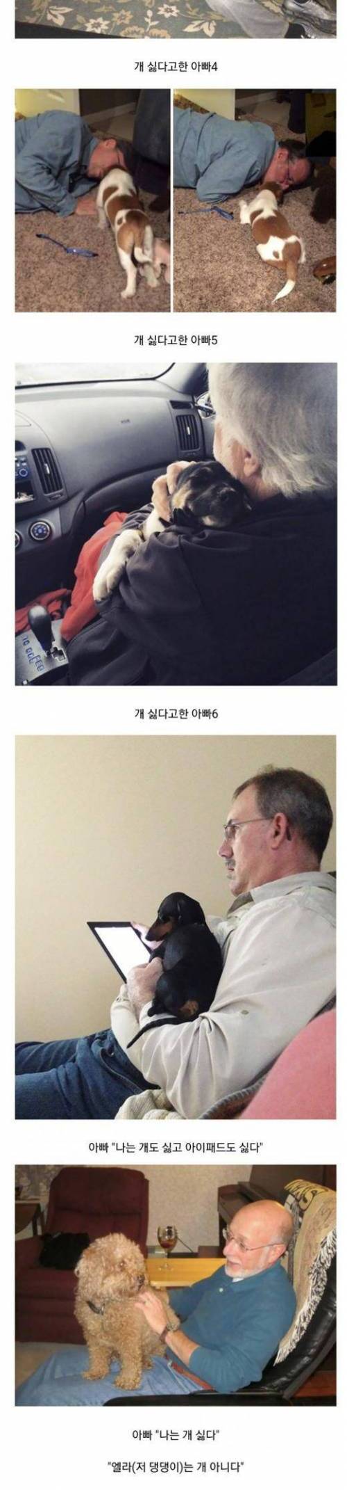 강아지 싫어하는 서양 아빠들.jpg