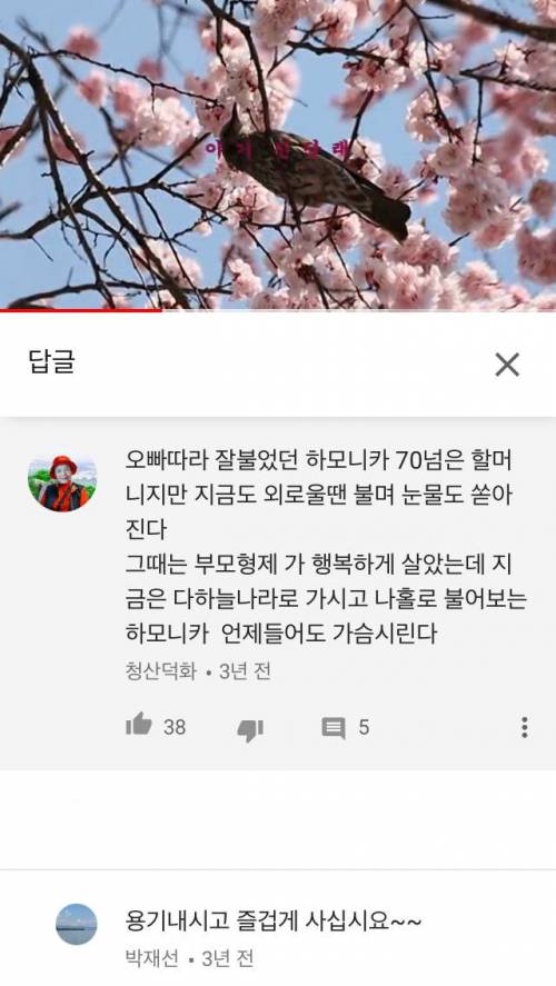 유투브 70-80대 할아버지 할머니들 댓글