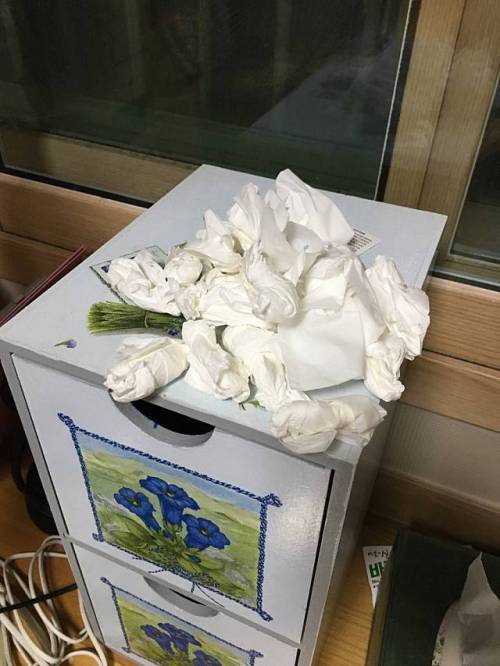 비염환자들 현 상황.jpg