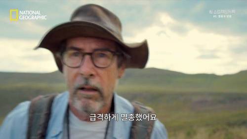 대멸종 시대에 살아남은 생물.jpg