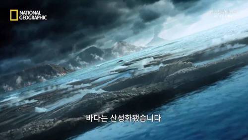 대멸종 시대에 살아남은 생물.jpg