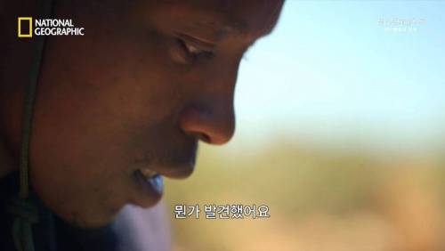 대멸종 시대에 살아남은 생물.jpg