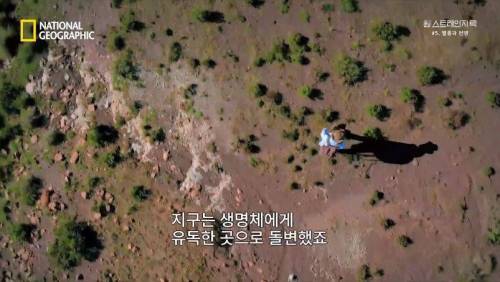 대멸종 시대에 살아남은 생물.jpg