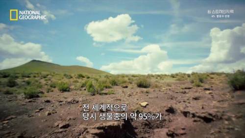 대멸종 시대에 살아남은 생물.jpg