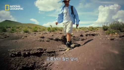 대멸종 시대에 살아남은 생물.jpg