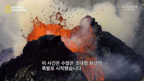 대멸종 시대에 살아남은 생물.jpg