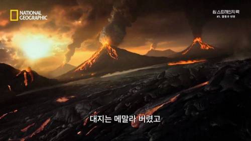 대멸종 시대에 살아남은 생물.jpg