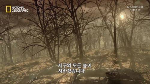 대멸종 시대에 살아남은 생물.jpg
