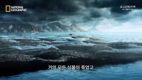 대멸종 시대에 살아남은 생물.jpg