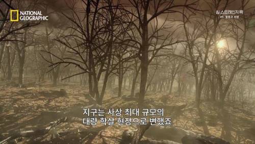 대멸종 시대에 살아남은 생물.jpg