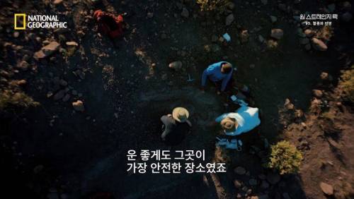 대멸종 시대에 살아남은 생물.jpg