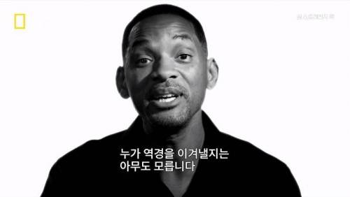 대멸종 시대에 살아남은 생물.jpg