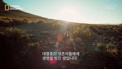 대멸종 시대에 살아남은 생물.jpg