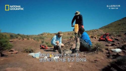 대멸종 시대에 살아남은 생물.jpg