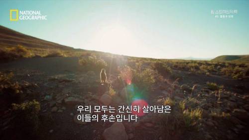 대멸종 시대에 살아남은 생물.jpg