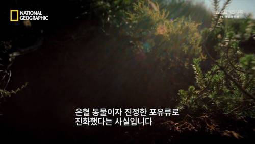 대멸종 시대에 살아남은 생물.jpg