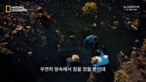대멸종 시대에 살아남은 생물.jpg