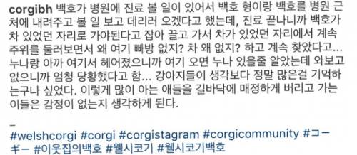 강아지들은 생각보다 많은 것을 기억하고 있다