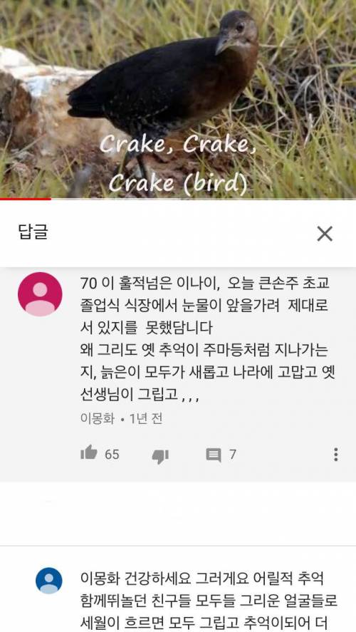 유투브 70-80대 할아버지 할머니들 댓글
