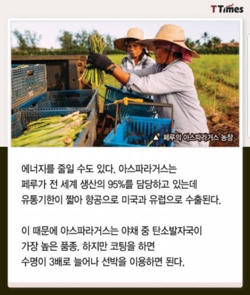 과일,야채 코팅으로 유통기한 2배 늘린 회사