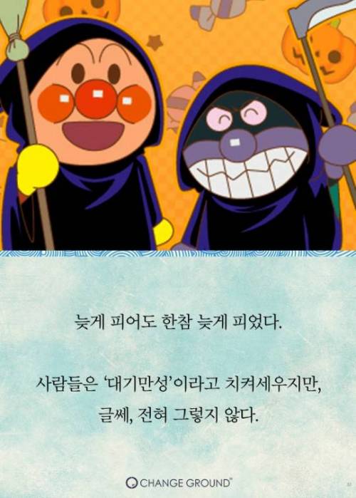 호빵맨 작가 이야기.jpg