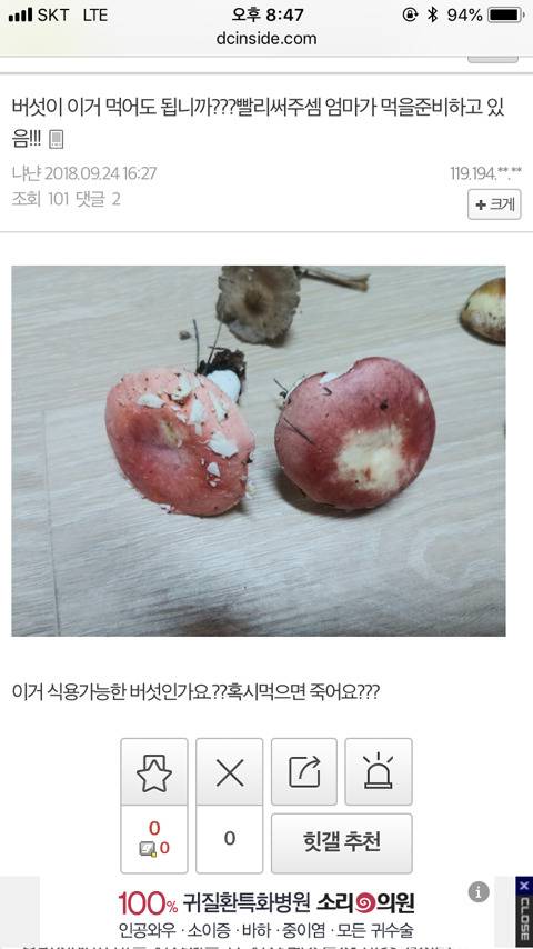 명절마다 식물갤에 자주올라오는글 .jpg