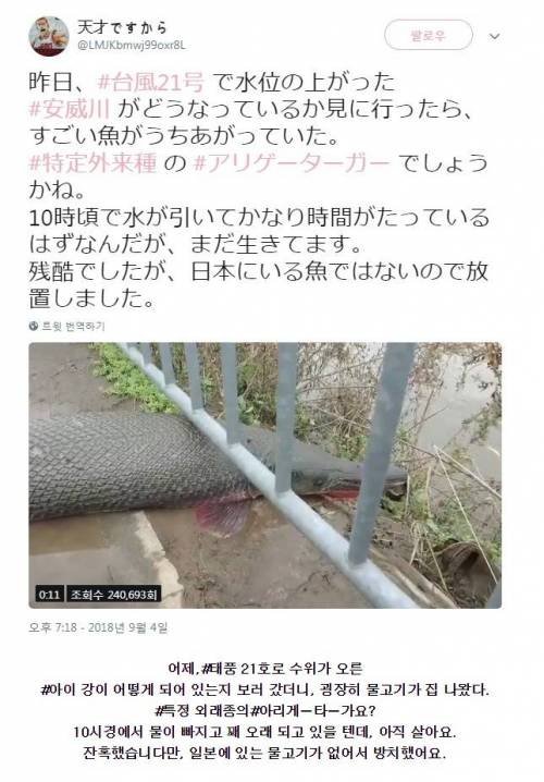 태풍 지나간 일본 근황.jpg