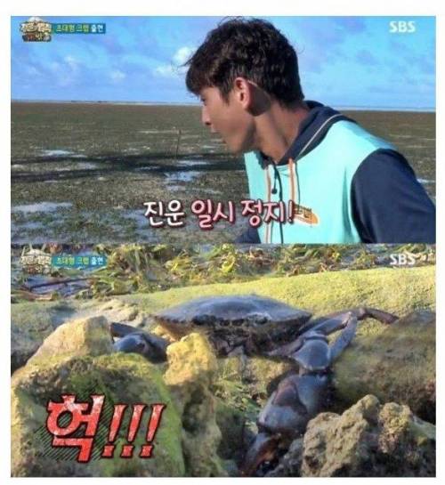착한 외래종.jpg